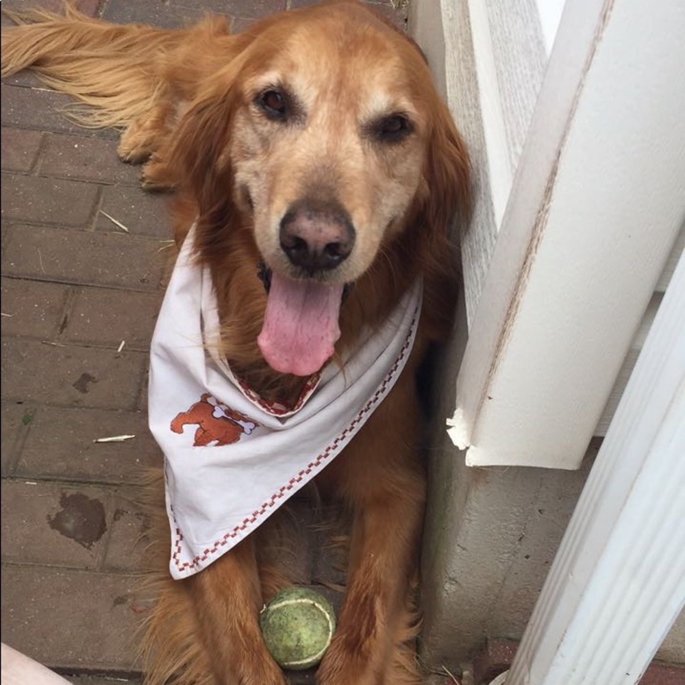 Meet your Posher, Christa